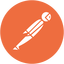Postman Icon